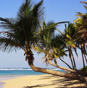 Fundraising Page: Saj Patel